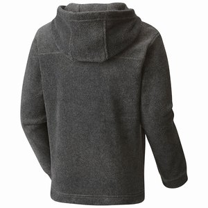 Columbia Steens™ II Skinna Hoodie Jacka Pojkar Grå (OJPKH5072)